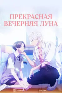 Прекрасная вечерняя луна 